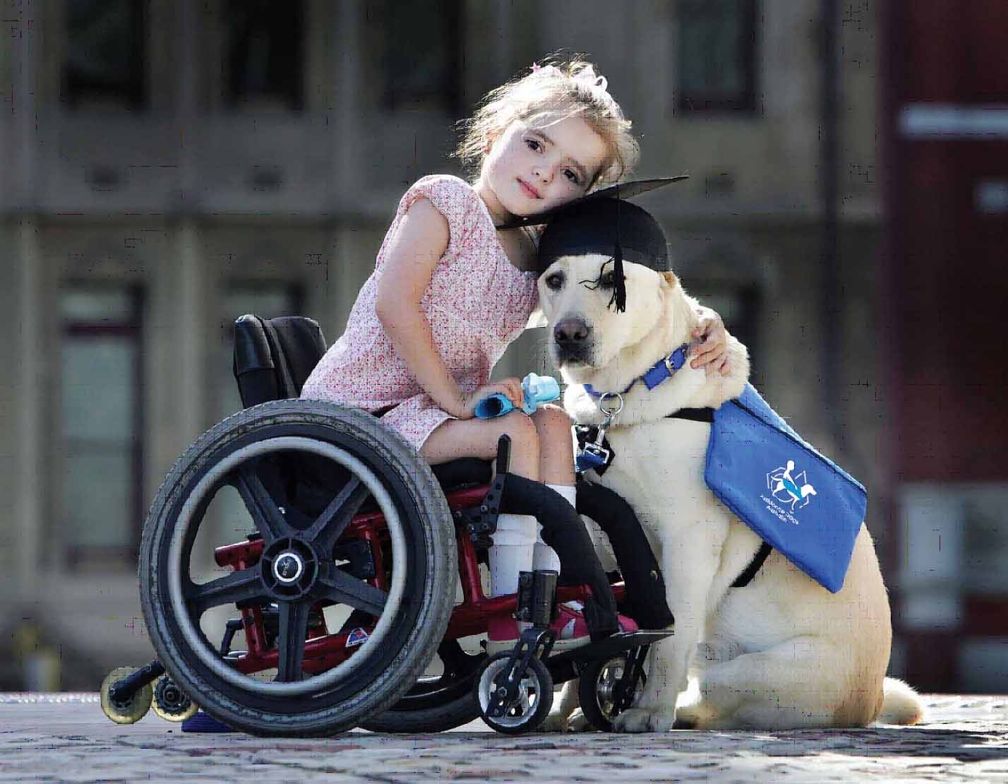Проявление добра в жизни. Животные инвалиды. Добро собака. Собака инвалид. Коляска для ребенка и собаки.
