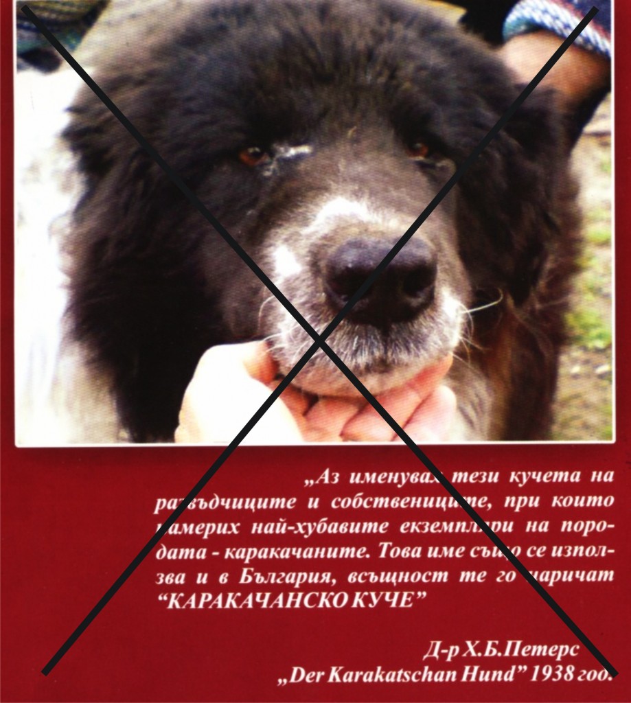 Българско овчарско куче, влашко, вълкодав